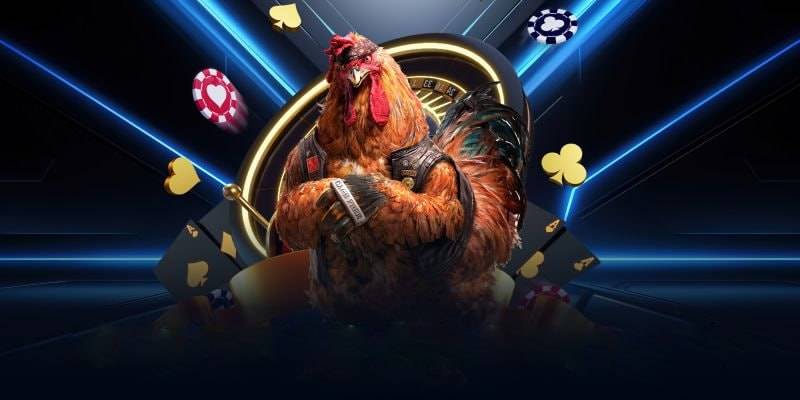 đá gà casino 99kim